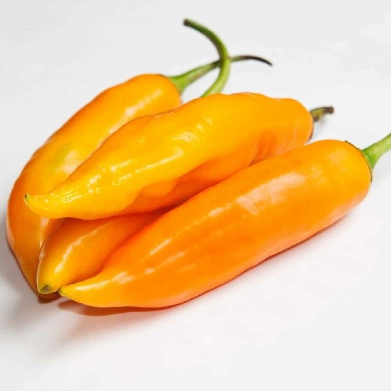 ají amarillo peruano ají amarillo peruano