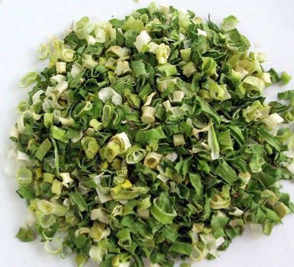 puerro (cebolla puerro) puerro (cebolla puerro)