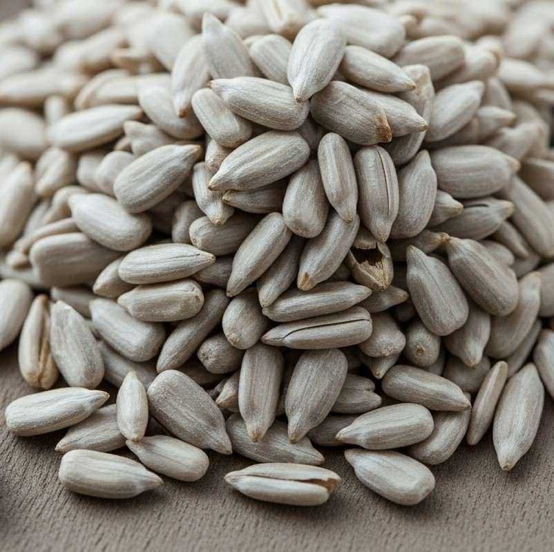 Semillas de Girasol - Imagen 2