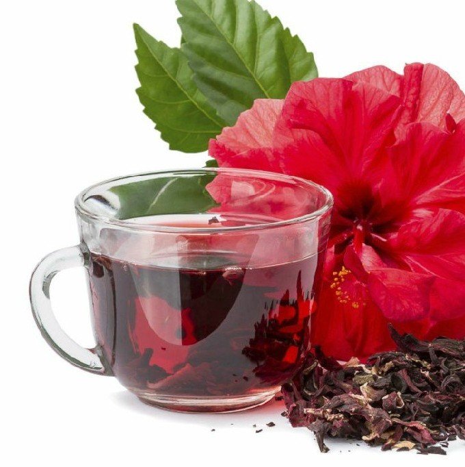 flor jamaica folr jamaica